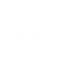 RAY ARCHITECTURE